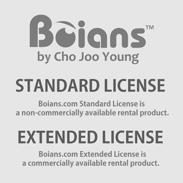 Standard License and Extended License